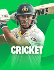Cricket sport banner
